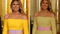 Melania Trump’s dress leaves fashionistas mesmerized - what do you see?