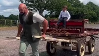 Fury drags son in horse trailer after he was forced to push him in trolley