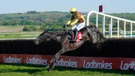 Willie Mullins hails 'horse of a lifetime' Galopin Des Champs at Punchestown