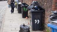 Our streets are overrun by army of rats & stinking bins left to rot for a MONTH