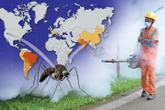 Holiday hotspots report cases of organ destroying virus sparking outbreak fears