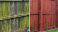 The £1.50 hack that removes green algae off fences without scrubbing or washing