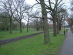 Woman ‘raped’ at popular London park in early hours as man, 33, arrested