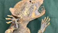 Mummified creature with human-like hands probed by scientists & linked to legend