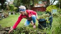 Gardening pros reveal the plant that saves you hours of pulling up weeds