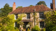 45p DIY solution gardeners swear by for killing ivy - it stops it growing back