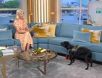 Holly Willoughby jumps back in terror as dog growls at her on This Morning