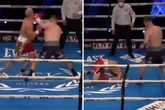 Watch O'Leary's 'KO of the year' as he leaves opponent face planted