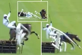 Leading horse crashes through wing and jockey goes flying in final-flight carnage