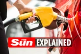 E10 fuel: Why is it replacing regular petrol and is my car compatible?