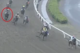 Giant £82,000 racing bet placed at last minute ends horribly for punter