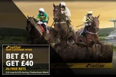 Cheltenham Festival offer: Get £40 in free bets ahead of racing showpiece week