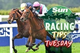 After ANOTHER winner our man targets this 3-1 banker at Brighton