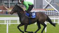 Constitution Hill DRIFTS for Fighting Fifth and Champion Hurdle post-workout