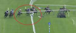 Total carnage at Cheltenham as horse smashes into rail after near-crash