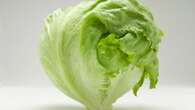 Keep lettuce fresh for WEEKS with a £1 hack - but ditch the plastic wrapper