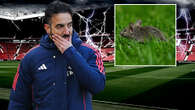 Old Trafford infestated with mice with droppings discovered in food kiosk