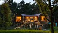 The UK treehouse perfect for autumn staycation - from wine hamper to wildlife