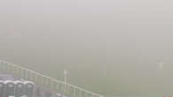 Racing viewers left baffled and can't see their horses as fog wreaks havoc