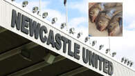 I filled my Newcastle team-mate's car with rotten fish as revenge