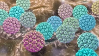 The most common cancers that strike at every age – as cases in under-50s soar