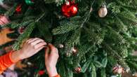 I'm a festive expert - my Christmas tree trick will keep it fresh for weeks