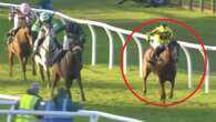 Jockey's 'worst nightmare' comes true in 'sickening' end to race for punters