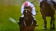 Furious punters demand lifetime ban for 'muppet' as pint of beer thrown at horse