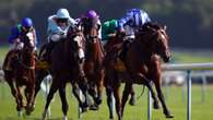 Templegate's Tote Placepot tips with £100,000 guaranteed at Haydock