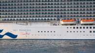 Cruise ship passenger, 48, dies after trying to jump overboard from vessel