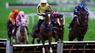 Champion jockey Harry Cobden shines aboard Burdett Road in Greatwood Hurdle