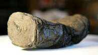 Urgent call for help deciphering  scroll charred by Vesuvius with £400k prize