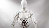 Creepy 'Clone Alpha' robot with synthetic organs & muscles coming next year