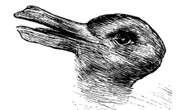 Do you see Duck or Rabbit? What Arteta optical illusion says about your brain