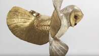 ‘World’s longest treasure hunt’ mystery deepens as 'gold owl' finder kept secret