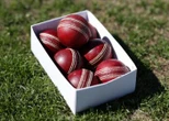 Lawson Naidoo elected as new chairperson for Cricket South Africa board