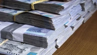 50 млн тенге субсидий похитили в Алматинской области