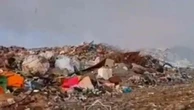 Мусорный полигон загорелся близ Алматы (видео)