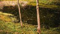 Тело мужчины нашли в воде в Актюбинской области