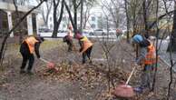 В Алматы стартует кампания 