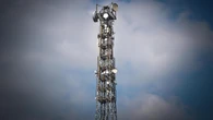 "Вышки 5G маскируют под деревья": новый фейк обсуждают в Сети