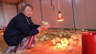 Гарантия на кредит помогла открыть птицеферму в Кордае