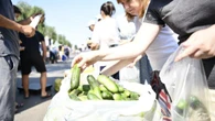 В ЗКО снижаются цены на продовольствие