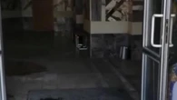 Заброшенный из-за пандемии кинотеатр шокировал жителей Семея (видео)