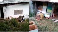 Медведь гонялся за мужчиной во дворе дома в ВКО (видео)