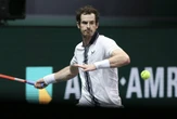 Andy Murray komplementuje Igę Świątek. „Czy byłaby szansa na trening?”