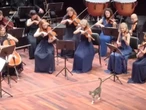 Nietypowy gość w filharmonii. Zwierzę odciągnęło uwagę słuchaczy i rozbawiło muzyków