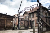 Skandaliczny wpis polityka Konfederacji. Zareagowało Muzeum Auschwitz