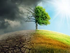 Jaki jest związek między zmianami klimatu a chorobami zakaźnymi?
