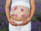 Fioletowy motyl – szczególny symbol w szpitalu. Co dokładnie oznacza?
